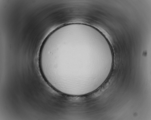 X0000103330949200809261158