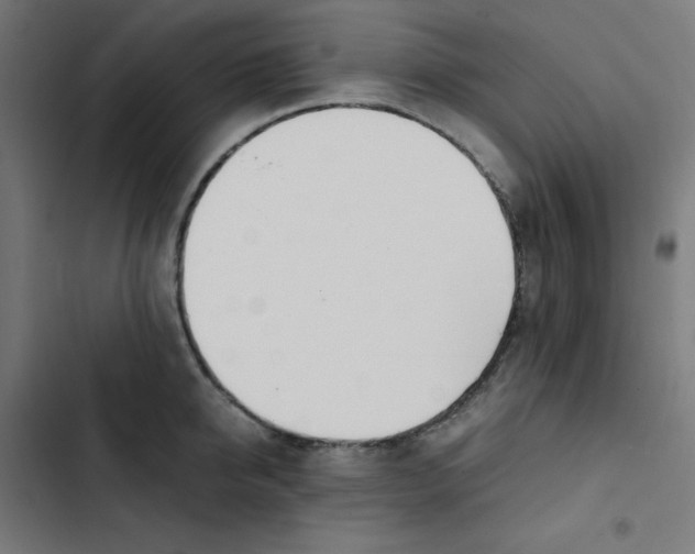 X0000103330950200809261158