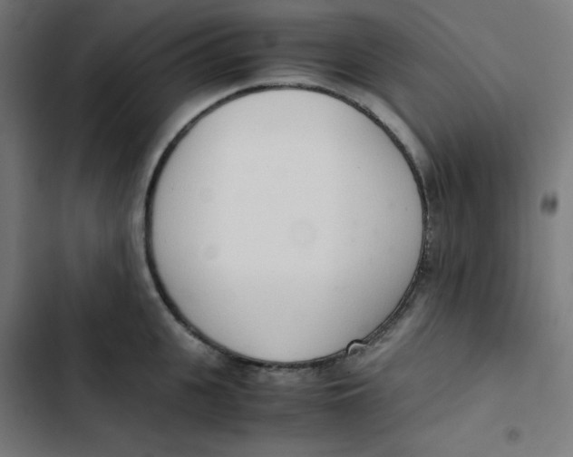 X0000103330951200809261158