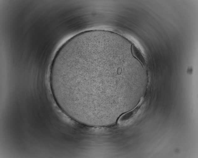 X0000103330952200809261158