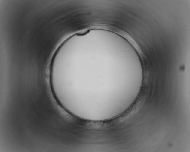 X0000103330955200809261158