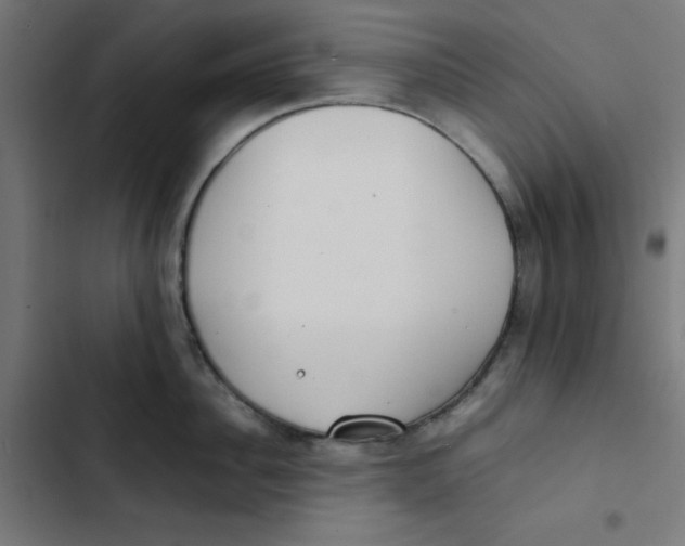 X0000103330956200809261158