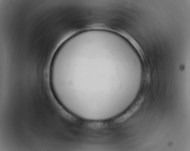 X0000103330957200809261158