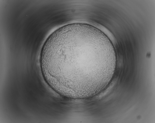 X0000103330958200809261158