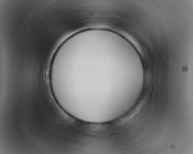 X0000103330959200809261158