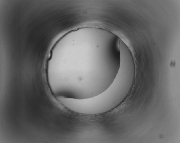 X0000103330960200809261158