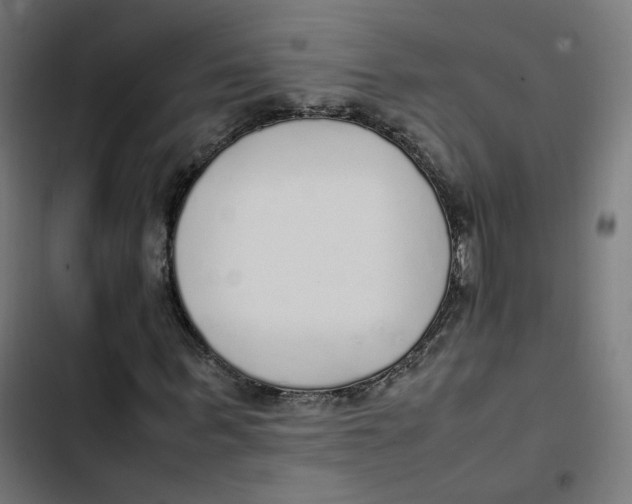 X0000103330963200809261157