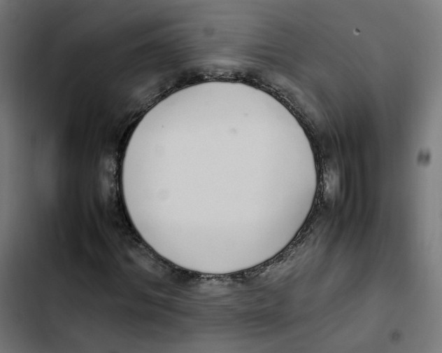 X0000103330964200809261157