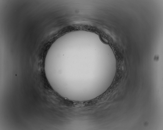 X0000103330965200809261157