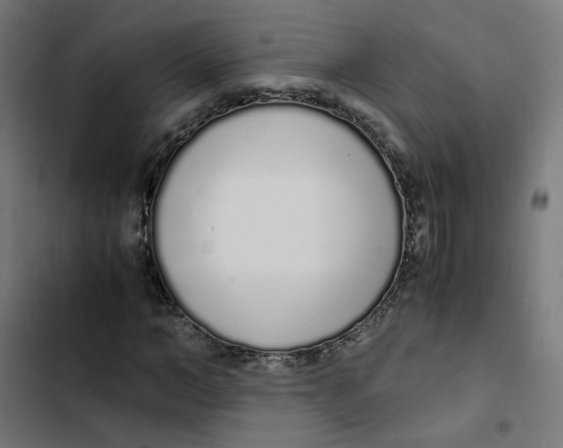 X0000103330966200809261157