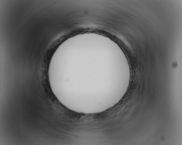 X0000103330967200809261157