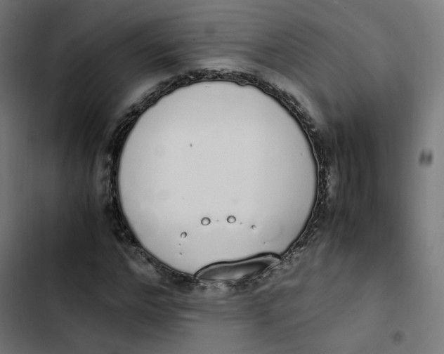 X0000103330968200809261157