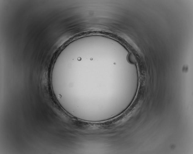 X0000103330969200809261157