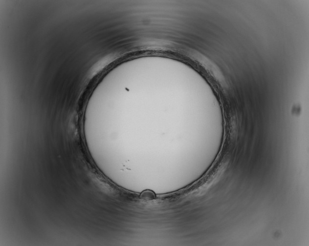 X0000103330970200809261157