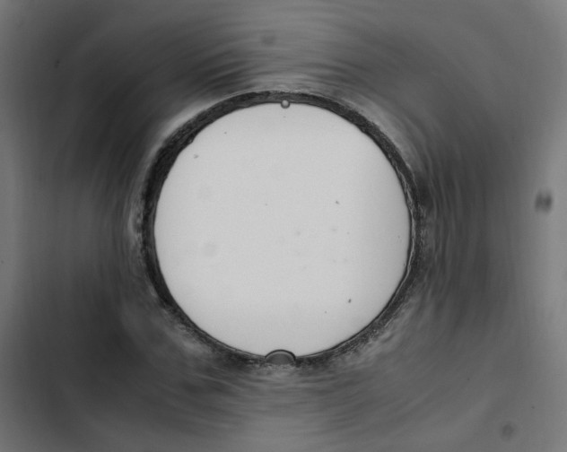 X0000103330971200809261157