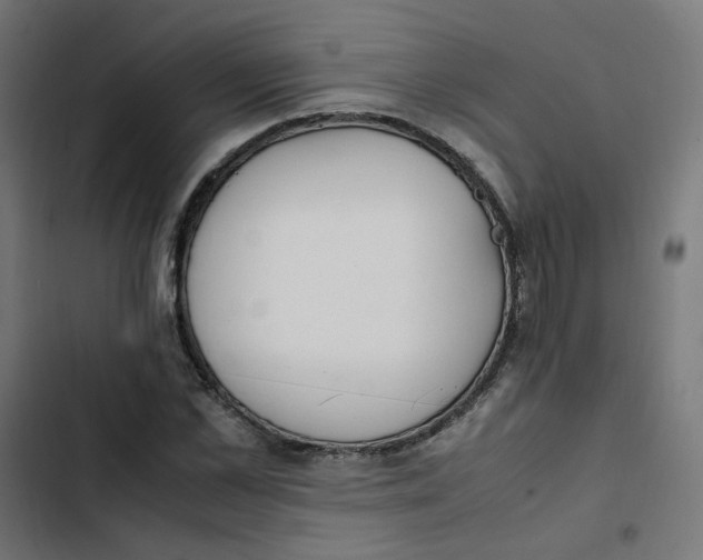 X0000103330973200809261157