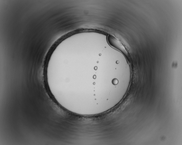 X0000103330976200809261157