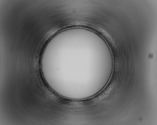 X0000103330977200809261157