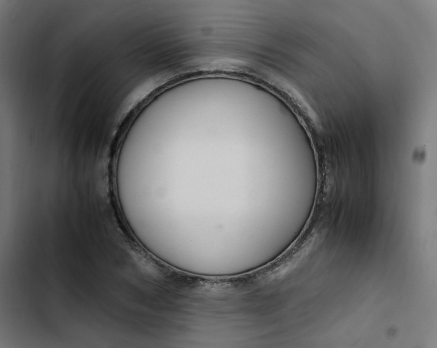 X0000103330978200809261157