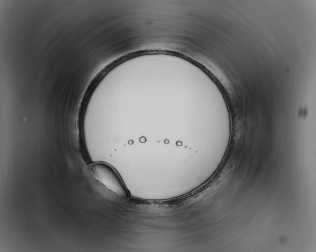 X0000103330980200809261157