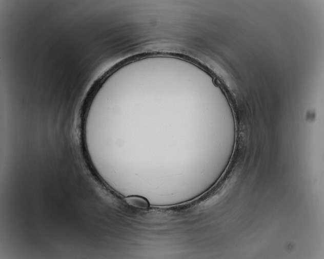 X0000103330981200809261157