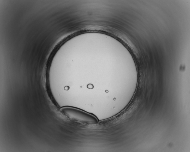 X0000103330984200809261157