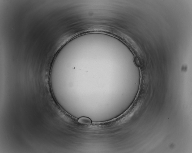 X0000103330985200809261157