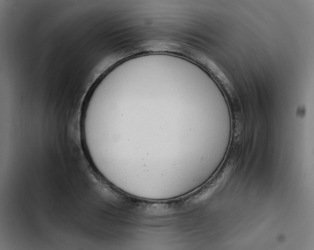 X0000103330986200809261157