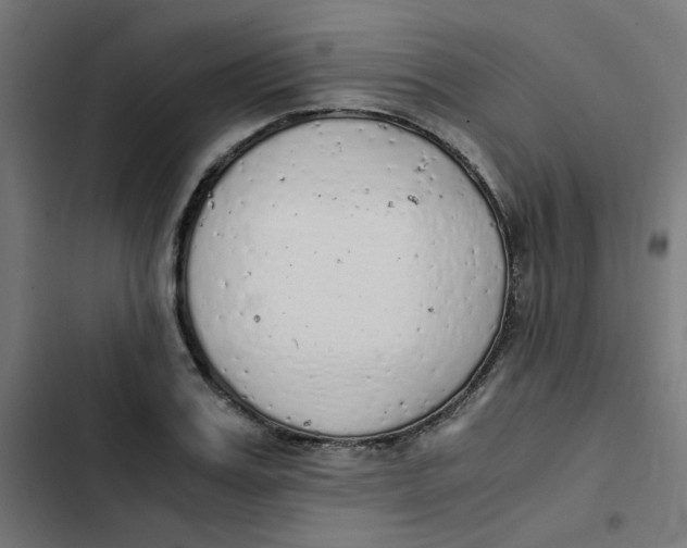 X0000103330987200809261157