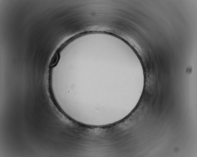 X0000103330992200809261156