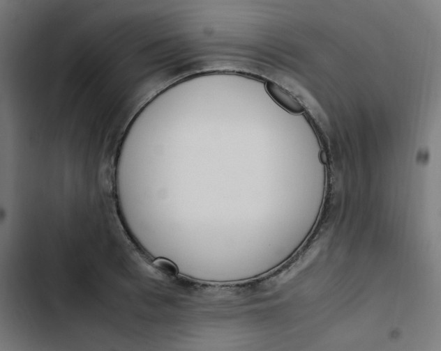 X0000103330993200809261156