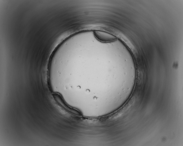 X0000103330994200809261156