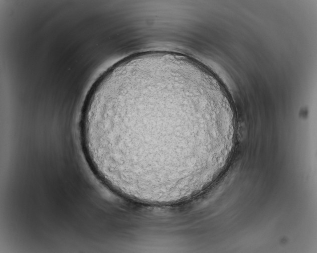 X0000103330995200809261156