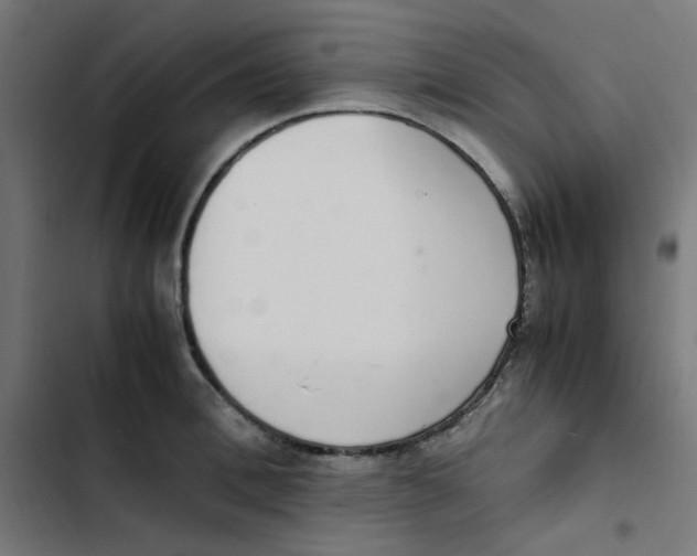 X0000103330996200809261156