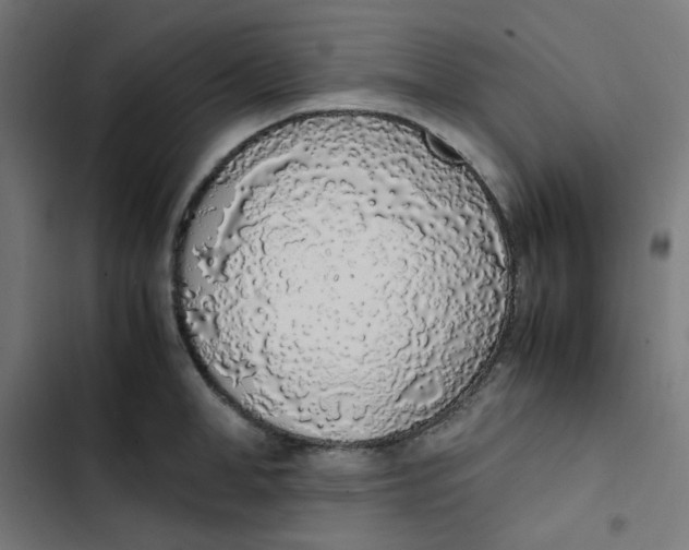 X0000103330998200809261156