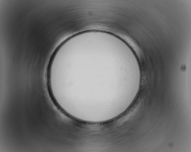 X0000103330999200809261156