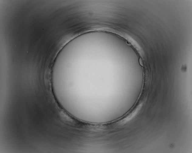 X0000103331001200809261156