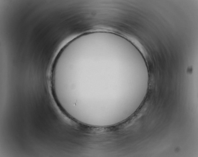 X0000103331003200809261156