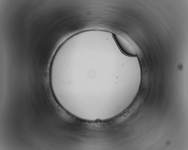 X0000103331004200809261156