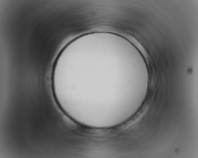 X0000103331005200809261156