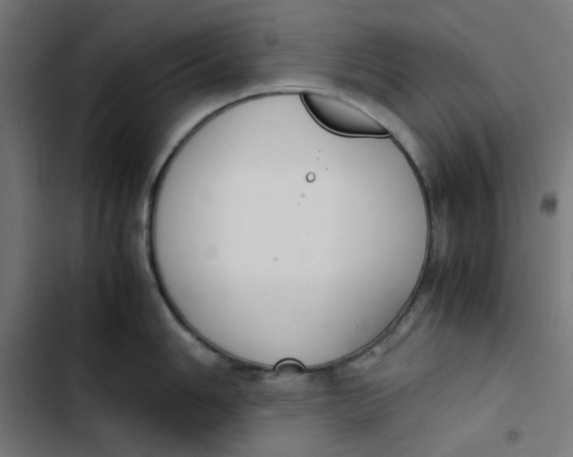 X0000103331006200809261156