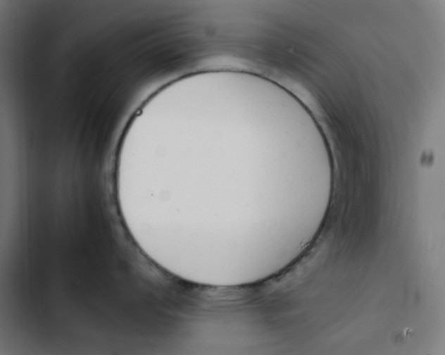 X0000103331008200809261156