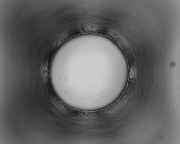 X0000103331011200809261156