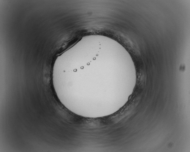 X0000103331012200809261156