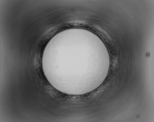 X0000103331014200809261156