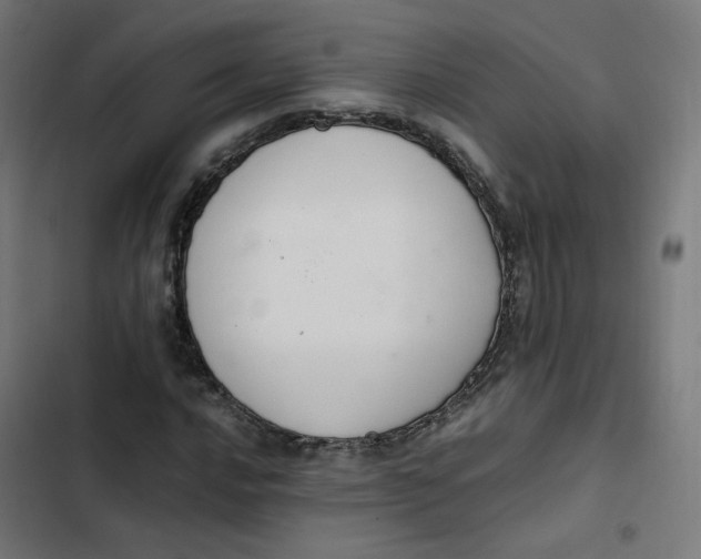 X0000103331016200809261156