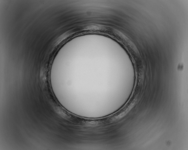 X0000103331017200809261156