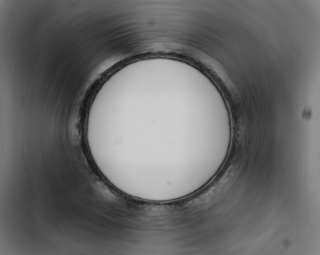 X0000103331018200809261156