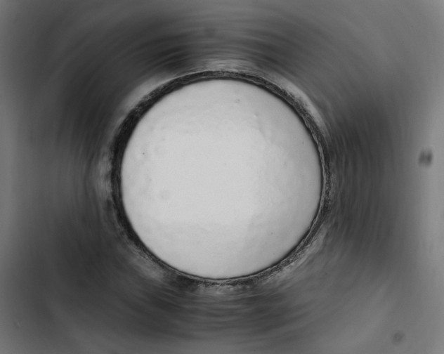 X0000103331019200809261156