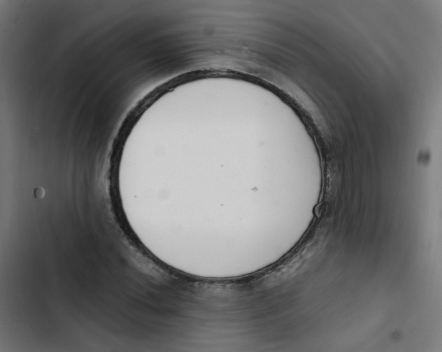 X0000103331020200809261156